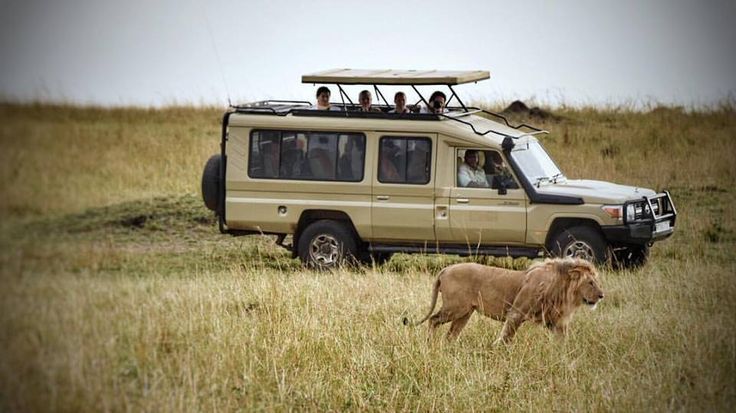 Why Tanzania is Competitive in Tourism